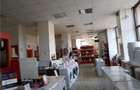 Spatiu comercial P+1E - 8