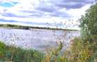 Teren intravilan 1.600 mp Crevedia | Deschidere lac | Ideal dezvoltare - 2