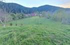 Proprietate Cracaul Negru - 2