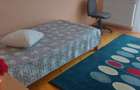 Apartartament 3 cam decomandat Muzicescu  - 10
