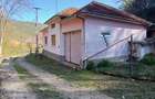 Casă cu 2 camere cu Teren 2000 Mp în Borz - 2