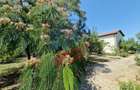 CASA P +E 5 camere -Cosoveni - 5