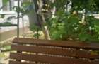 Apartament cu 2 camere în Tineretului - 7