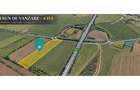 Teren 4 ha DJ 691 Giarmata | Langa A1