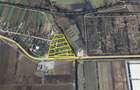 Proprietate Beharca teren 38464mp - 14