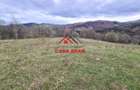 Teren extravilan Valea Doftanei 20.500 mp 6e mp - 16