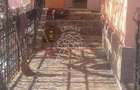 Casa Renovata 115 mp-teren 1,5 Ha-Sat Mires, 15 km de Beclean, Nasaud - 1