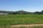 Ocazie,teren intravilan 7000 mp, Telita, comuna Frecatei, Tulcea