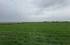 Teren intravilan 500m^2 in Livada de Bihor - 3