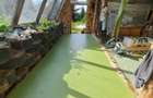Casa, constructie, earthship. Cabana. - 15