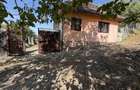 Casa de vanzare in Prunisor 2500mp - 5