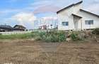 Teren Sanpetru, str Armoniei, 539mp, cu proiect casa si avize in lucru - 7