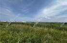 Teren intravilan de 6000 mp zona Industriala de Vest din Sibiu - 3