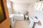 Casa 4 camere Raducaneni Iasi + 1.600 mp intravilan - 5