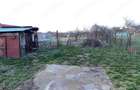 Casă cu Teren 1483 Mp în Mândruloc - 2