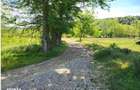 Teren extravilan arabil Tisau, ID: R2590475 - 3