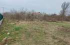 Vand teren de 1500 mp in Caciulati, comuna Moara Vlasiei, jud. Ilfov - 3