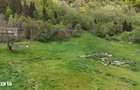 Intravilan | 10.000 mp| Satic-Rucar | Acces facil | Poten?ial excelent