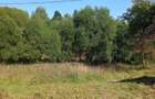 Casa si teren de vanzare - 2