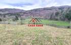Teren extravilan Valea Doftanei 20.500 mp 6e mp - 10