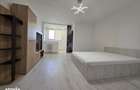 Apartament 1 camera RENOVAT -Tatarasi , 34 metri, etaj 7 Cod:162424 - 11