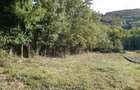 De vanzare teren 11500 mp partial intravilan - 5