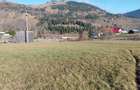 Teren de vanzare in Bucovina - 9