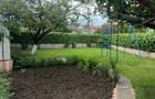 Exclusiv! Casa 5 camere - zona Stadion - 580.000 euro(Cod E8+E12) - 11