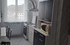 Inchiriez apartament 2 camere recent renovat zona Precista - 5