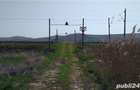 vand 5800 mp teren sat Livada com iclod jud cluj - 3