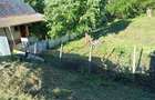 Vand teren intravilan+casa - 3