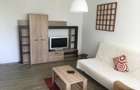 Apartament de 2 camere spre vanzare - Arcul de Triumf - Averescu - 2