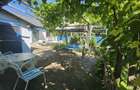Proprietate exclusivista in Murighiol -Casa de vacanta in DeltaDunarii - 7