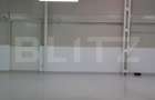 Hala 800 mp, acces TIR, zona FORD - 9