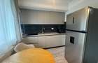 Apartament de inchiriat, o camera, semidecomandat, 43 mp, Manta Rosie - 4