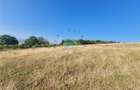 Teren Moacsa, 5 ha, Covasna