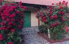 Casa de vanzare in periam - 7