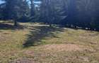 Vand teren in Marisel. - 5