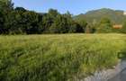 Loturi teren PUZ aprobat 2100/2500mp - Strada Cheia - vis a vis Camping Cheile Rasnoavei
