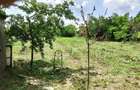 Casă cu 3 camere cu Teren 1400 Mp în Tudor Vladimirescu - 5