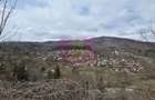 Teren intravilan de vanzare in Valea Doftanei - 10