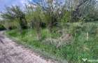 Teren extravilan de vanzare, 2.670 mp, Bistrita - 4