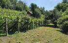 Teren intravilan 5.600 mp Valea Budului Margineni, Bacau | 25 mp | Ideal casa Investi?ie. - 1