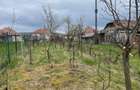 Teren pentru casa Tg Trotus - 1