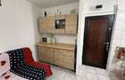 Vand camera de camin Lapus