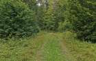 Vand teren intravilan 5.000 mp Sat Brate?, Com. Tarcau, Jud. Neam? - 4