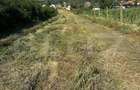 Teren 2280 mp, zona Balesti - 1