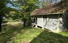 Cabana/Casuta din lemn Lac mujdeni cu ponton privat pe lac - 2