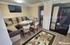 Casa cu 2 camere, 65 mp, teren 2910 mp, in Viile Satu Mare - 18