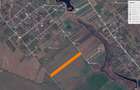 Teren intravilan 24500 mp Dascalu - Creata jud. Ilfov - 1